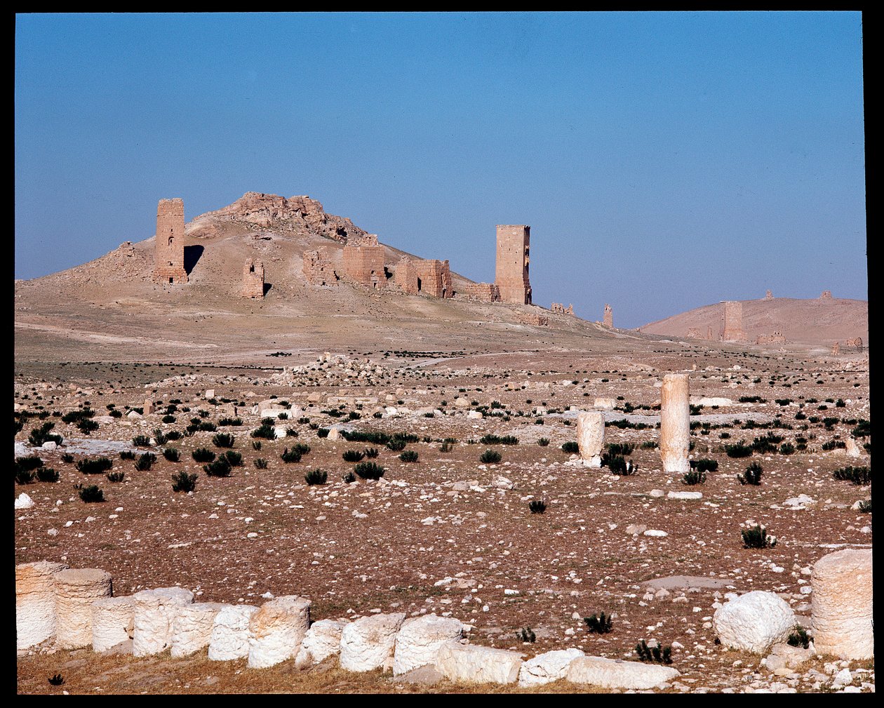 View of the tower tombs of Iamblichus and Elahbel by Roman