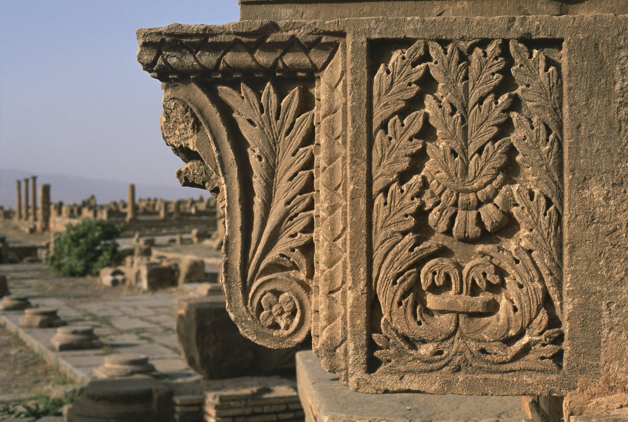 Architectural fragment with carved decoration, Sertius Market, High Imperial Period by Roman Imperial Period