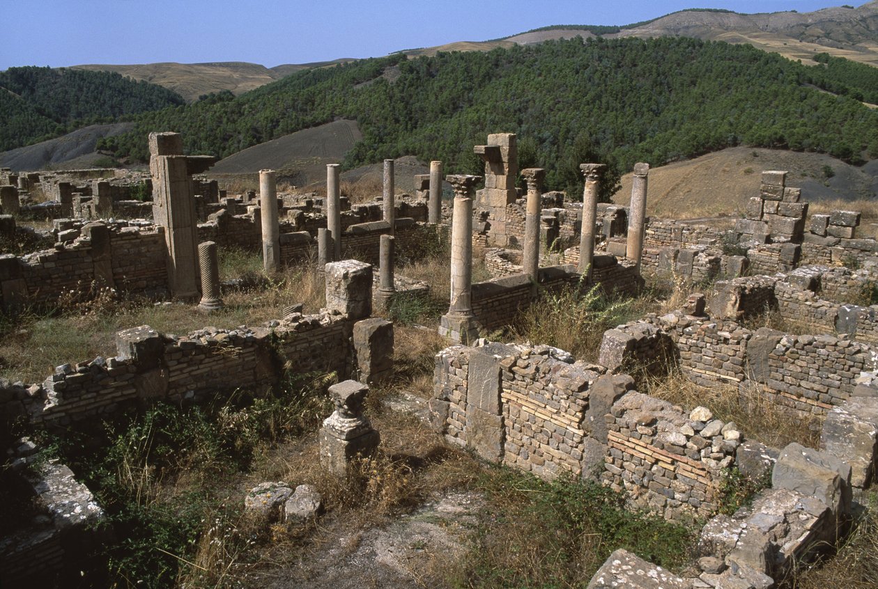 View of a Housing Area, High Imperial Period (27 BC-395 AD) by Roman Imperial Period