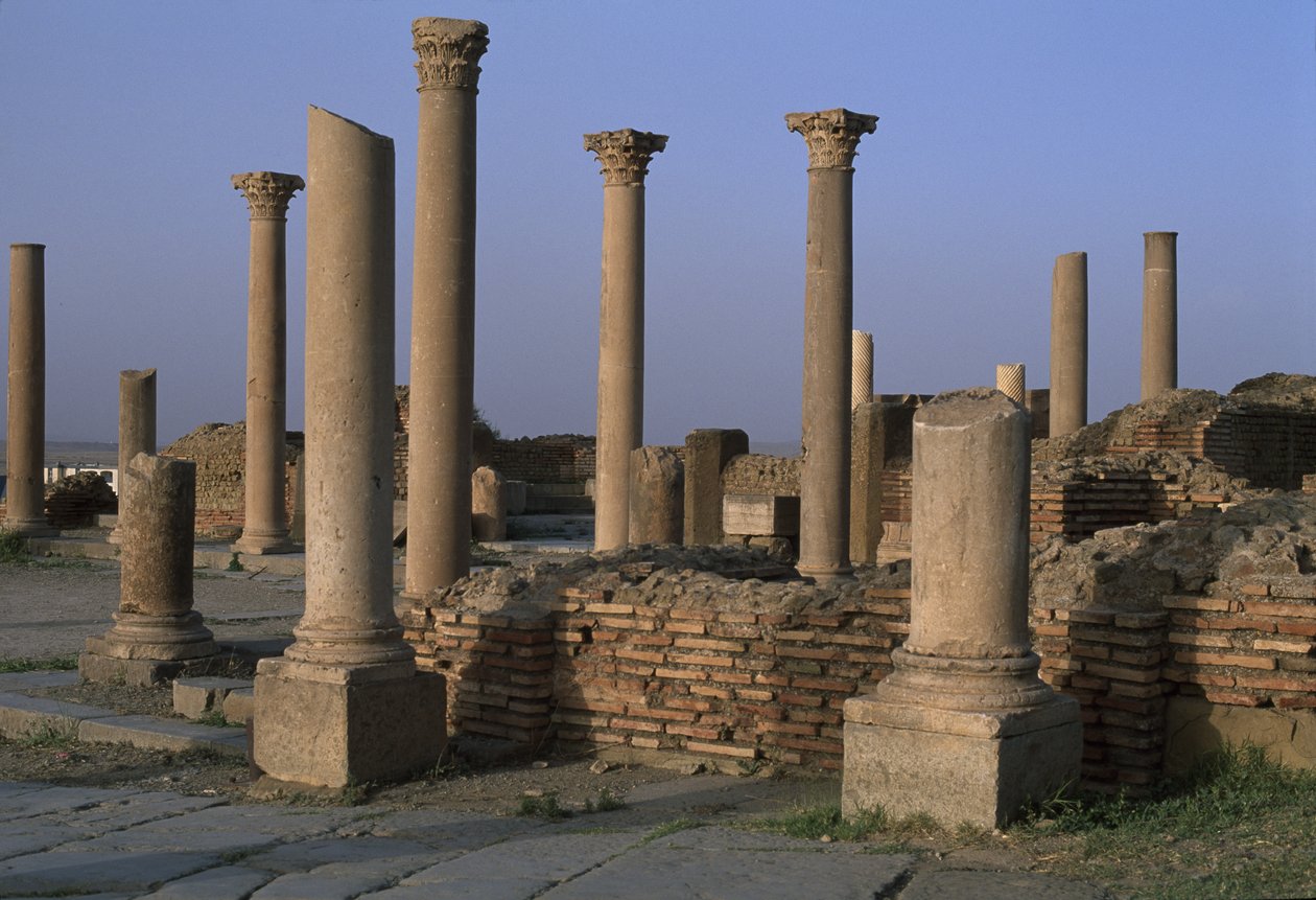 View of the Library, High Imperial Period by Roman Imperial Period
