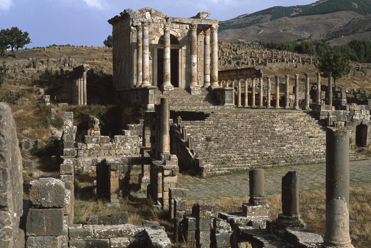 View of the Temple of the Septimian Family, High Imperial Period by Roman Imperial Period