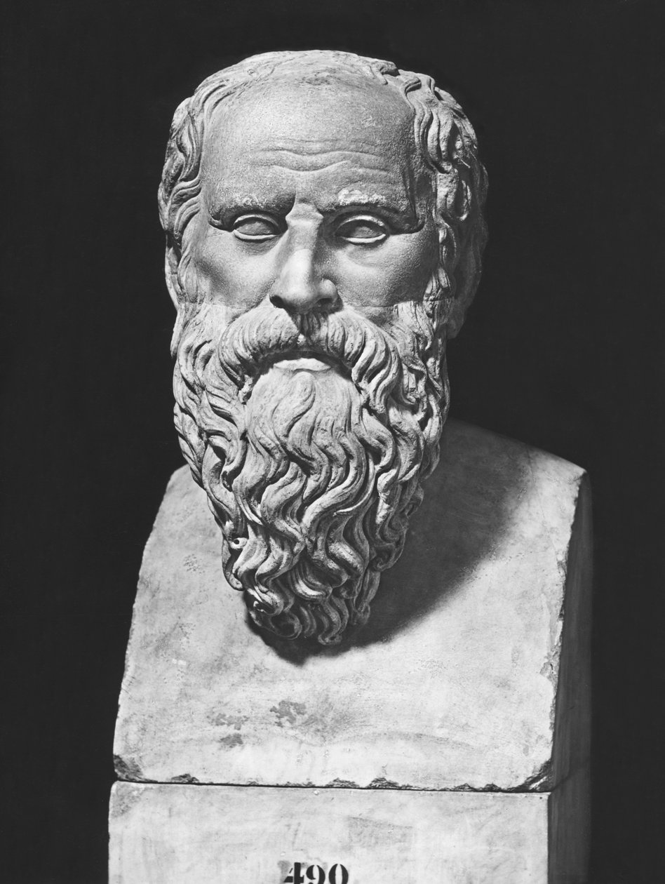 Bust of Diogenes by Roman Roman