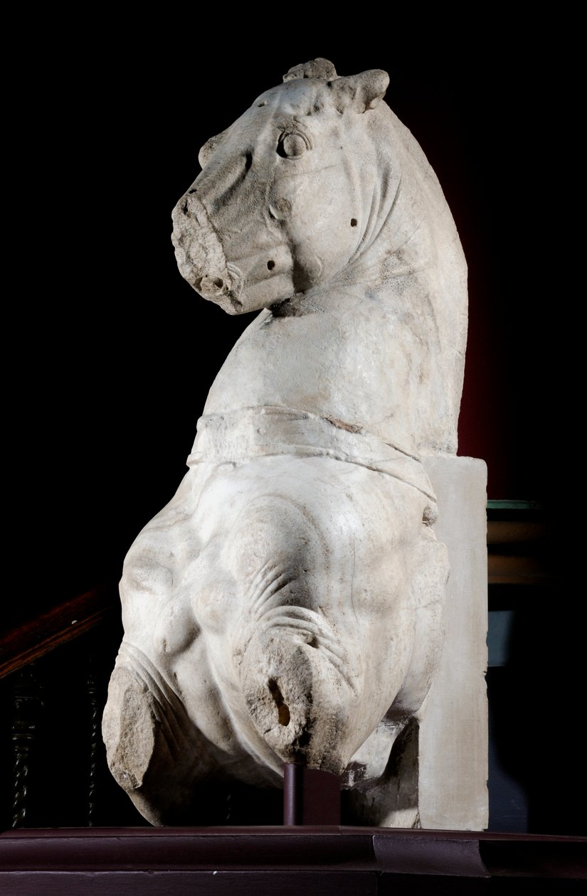 Front Part of a Horse by Roman Roman