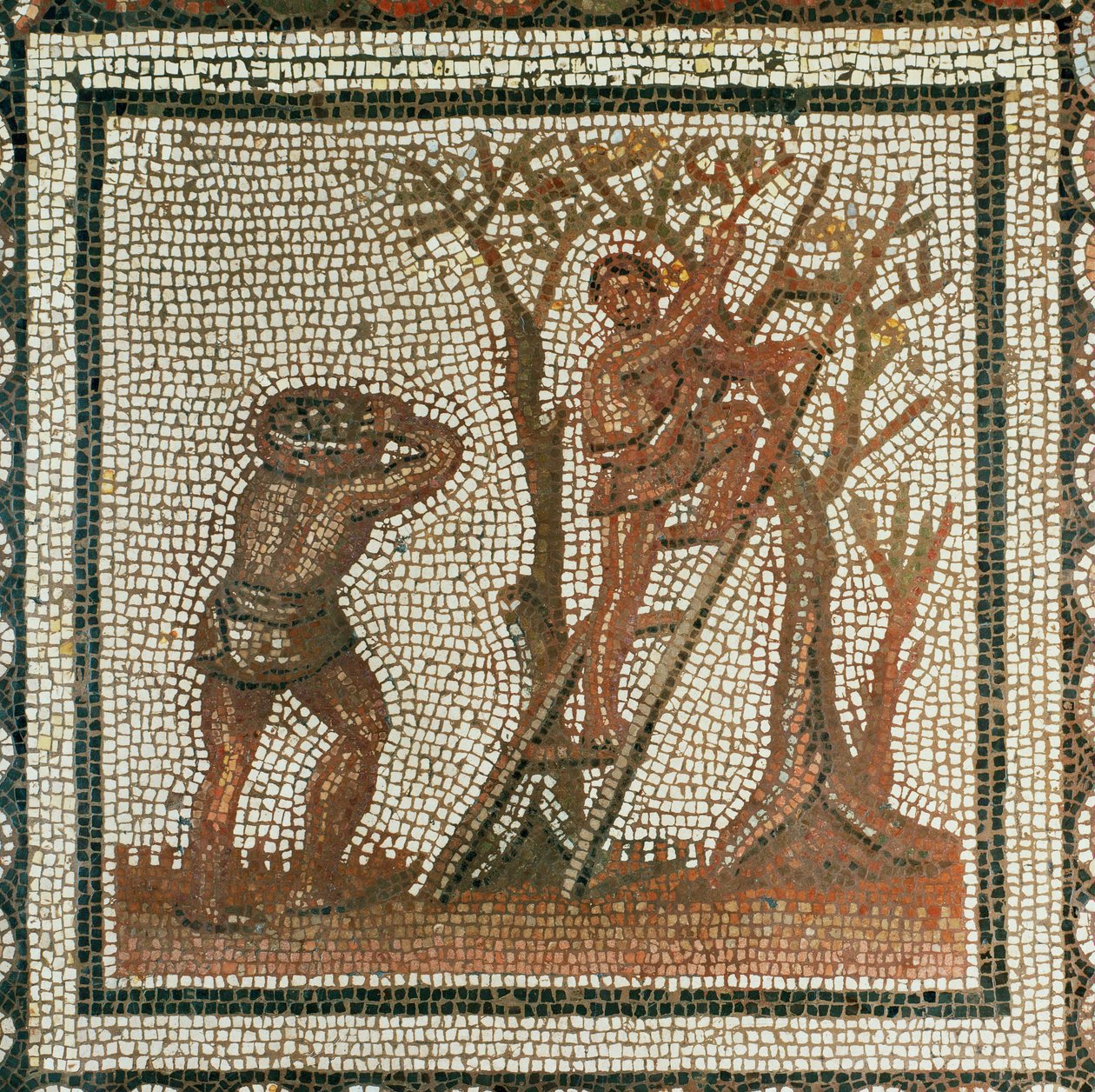 Harvesting Olives by Roman Roman