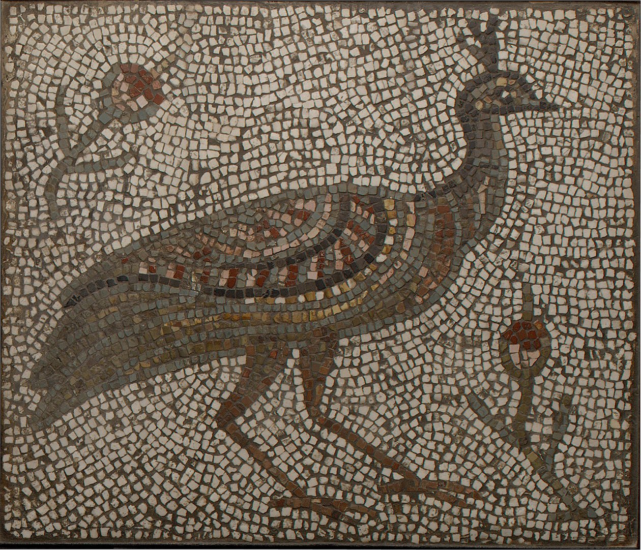 Mosaic with a Peacock and Flowers, 3rd-4th Century by Roman Roman