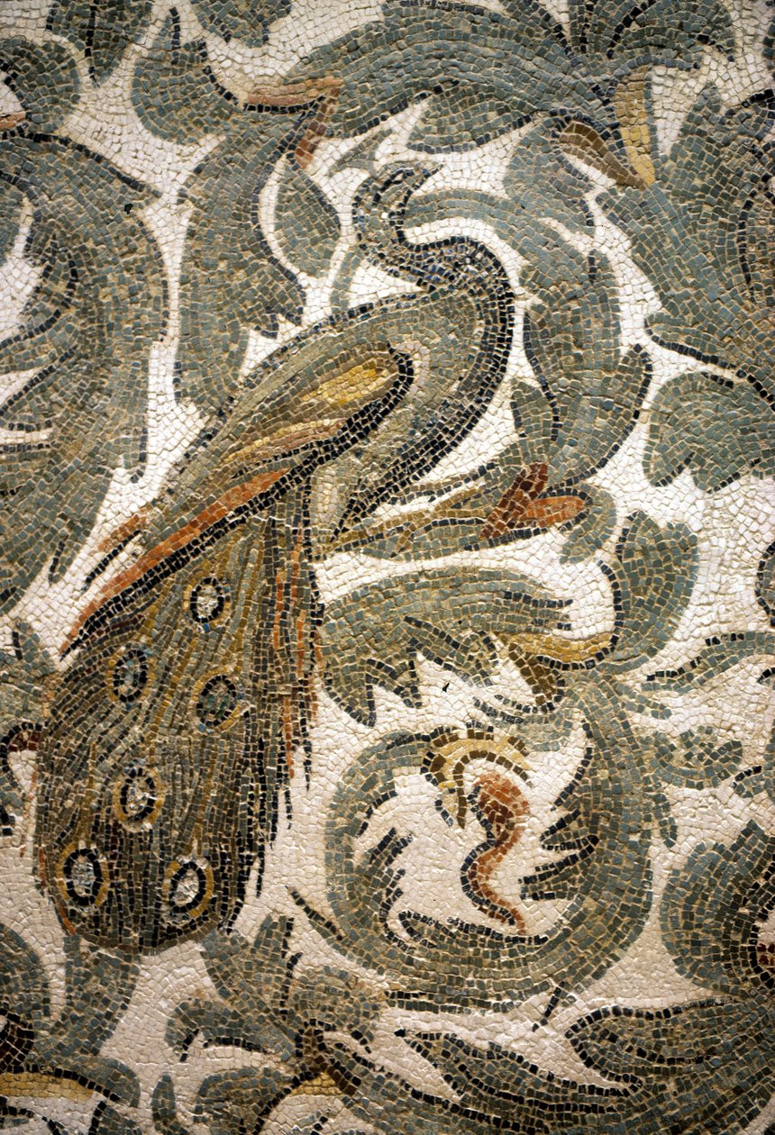 Peacock, Detail of Mosaic - 4th Century A.C., Bardo Museum, Tunis by Roman Roman