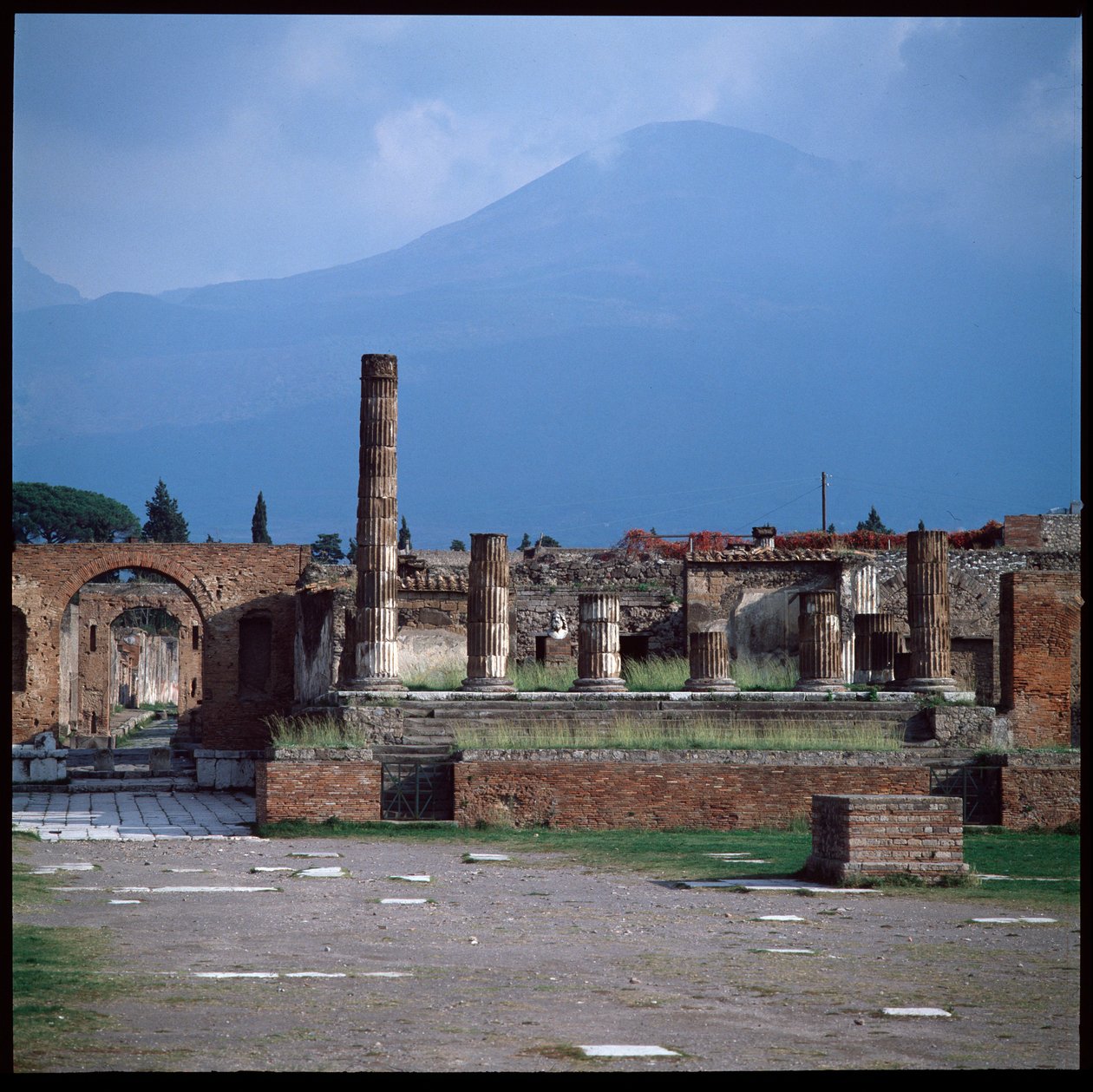 View of the forum, archeological site of Pompeii, Italy by Roman Roman