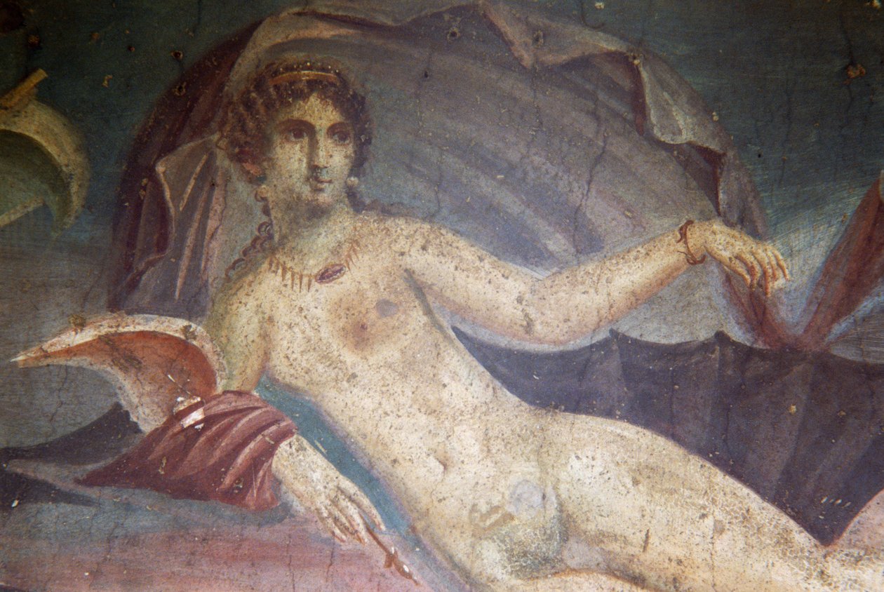 Venus in Shell (detail) by Roman Roman