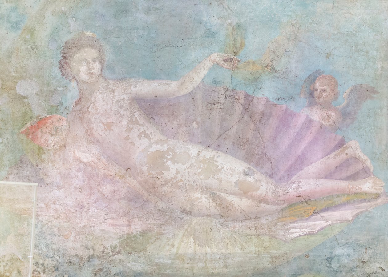 Venus on Shell by Roman Roman