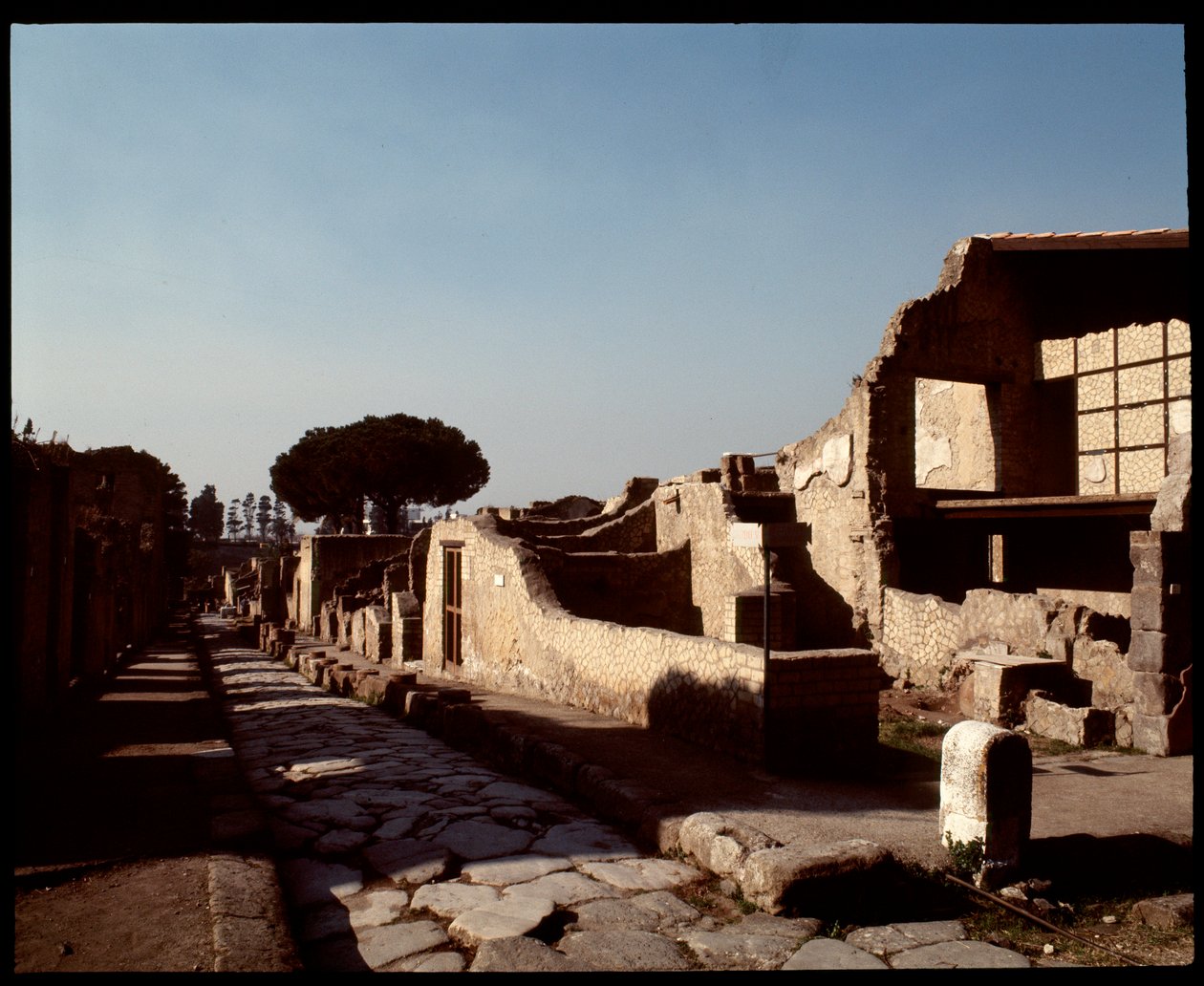 View of Decumanus Maximus by Roman Roman
