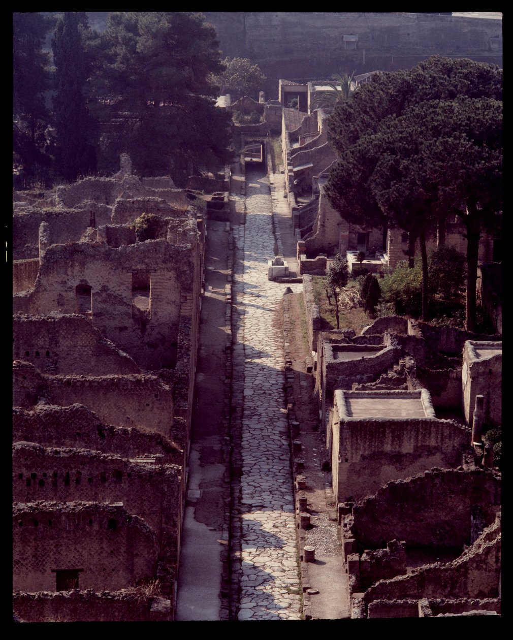 View of cardo V by Roman Roman