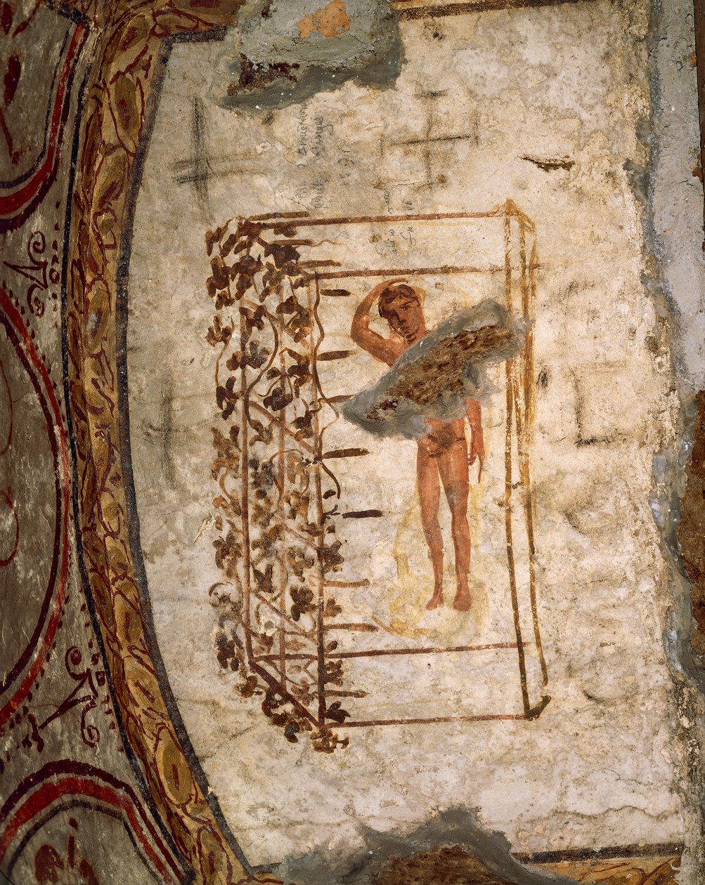 Youth, trellis and vines, 3rd-5th century AD by Roman Roman