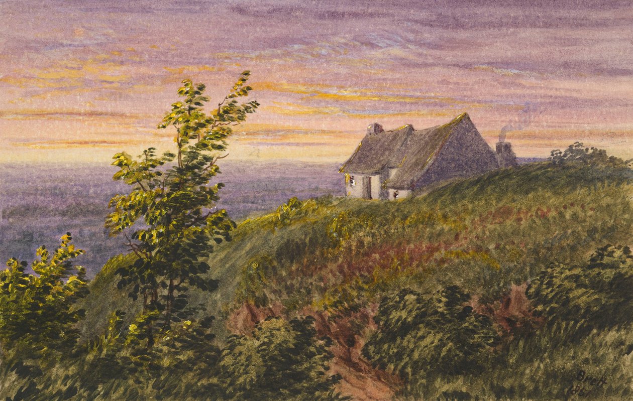 From Bluebell Hill by Rosa Brett