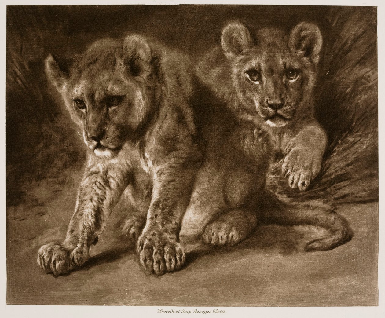 Two Lion Cubs by Rosa Bonheur