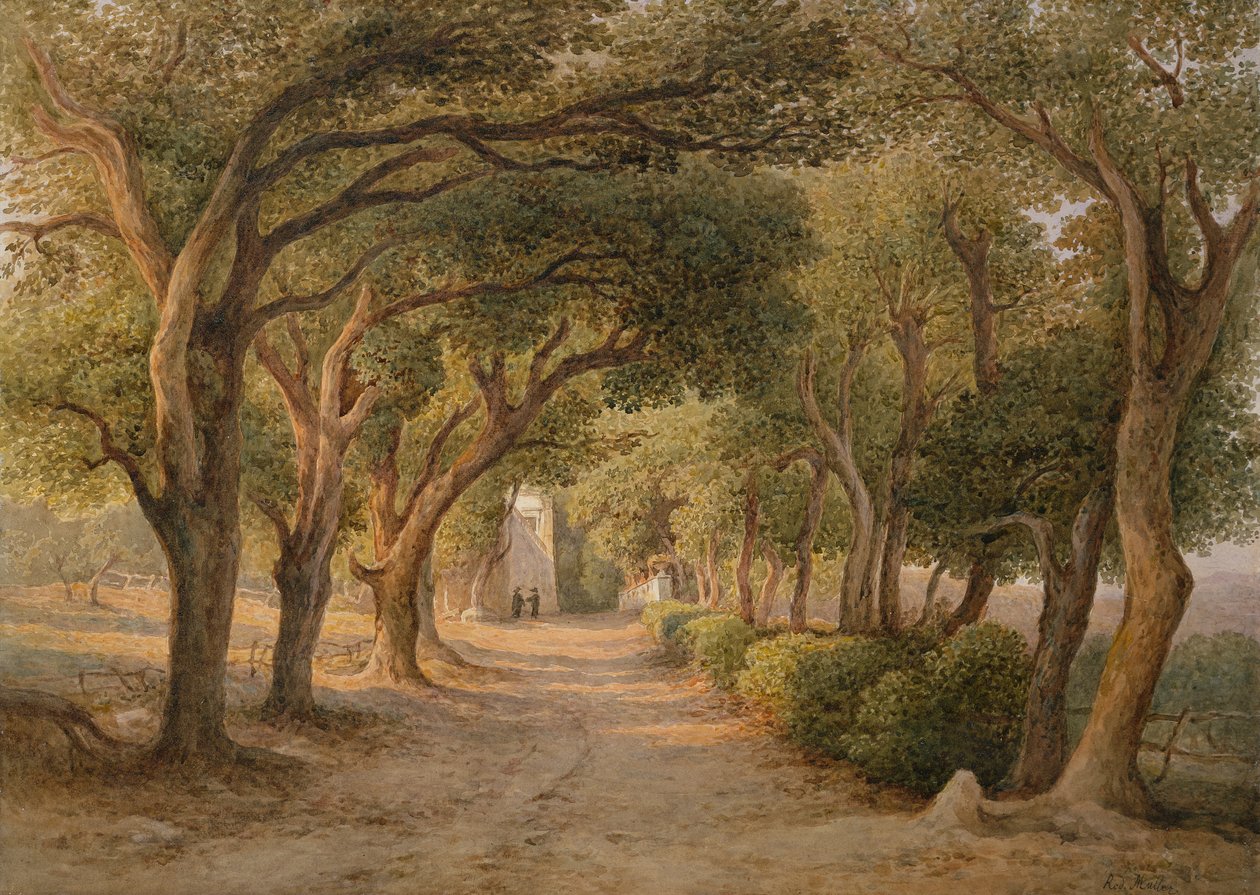 Castel Gandolfo by Rudolf Müller