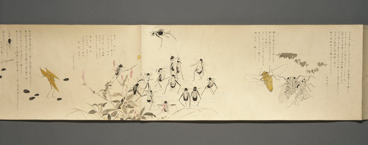 Wildlife Friends (Yasei no Tomo), Taisho Period, Taisho 7th Year, c.1918 by Ryoka Kawakami