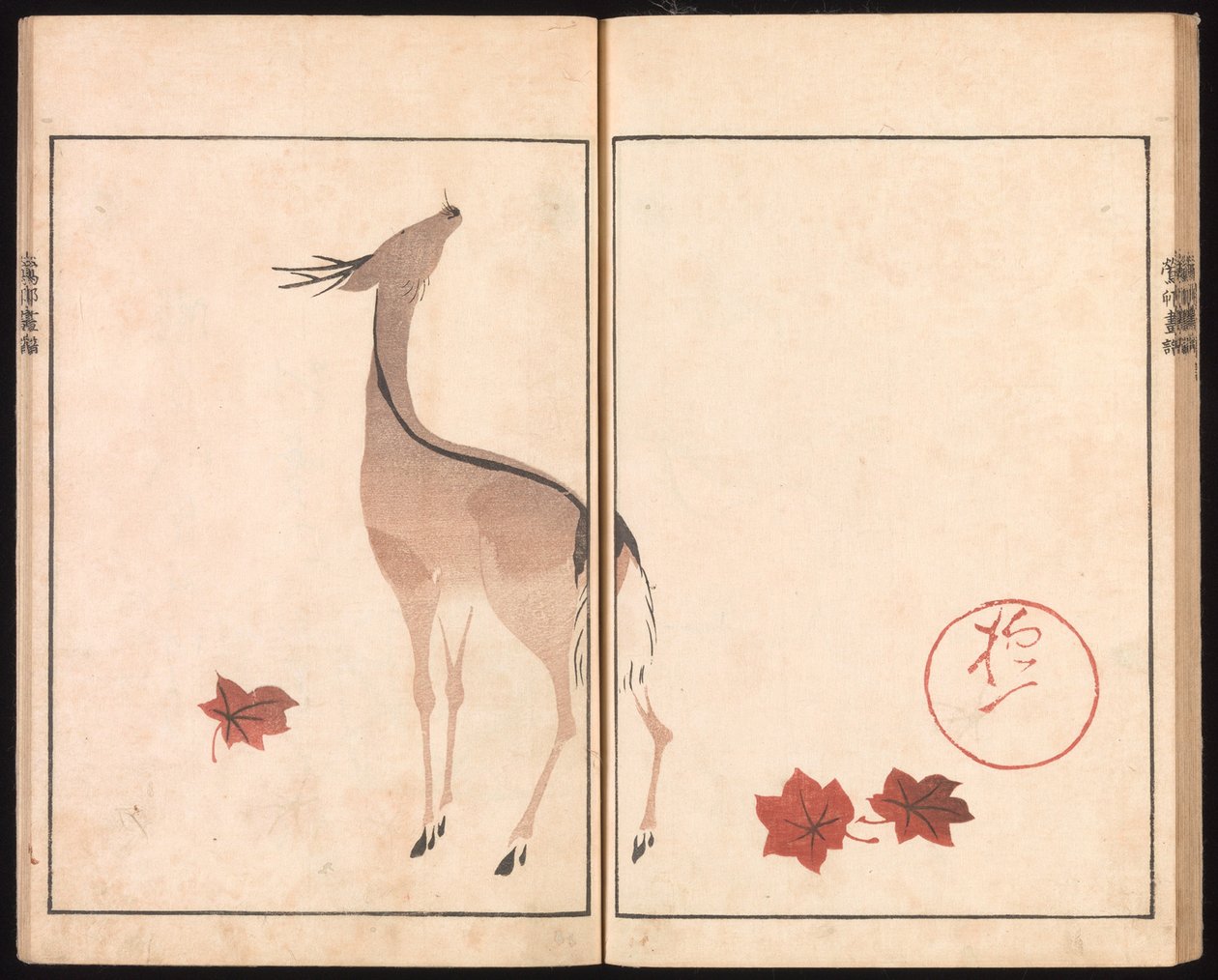 Ōson (Hōitsu) Picture Album (Ōson gafu) by Sakai Hoitsu