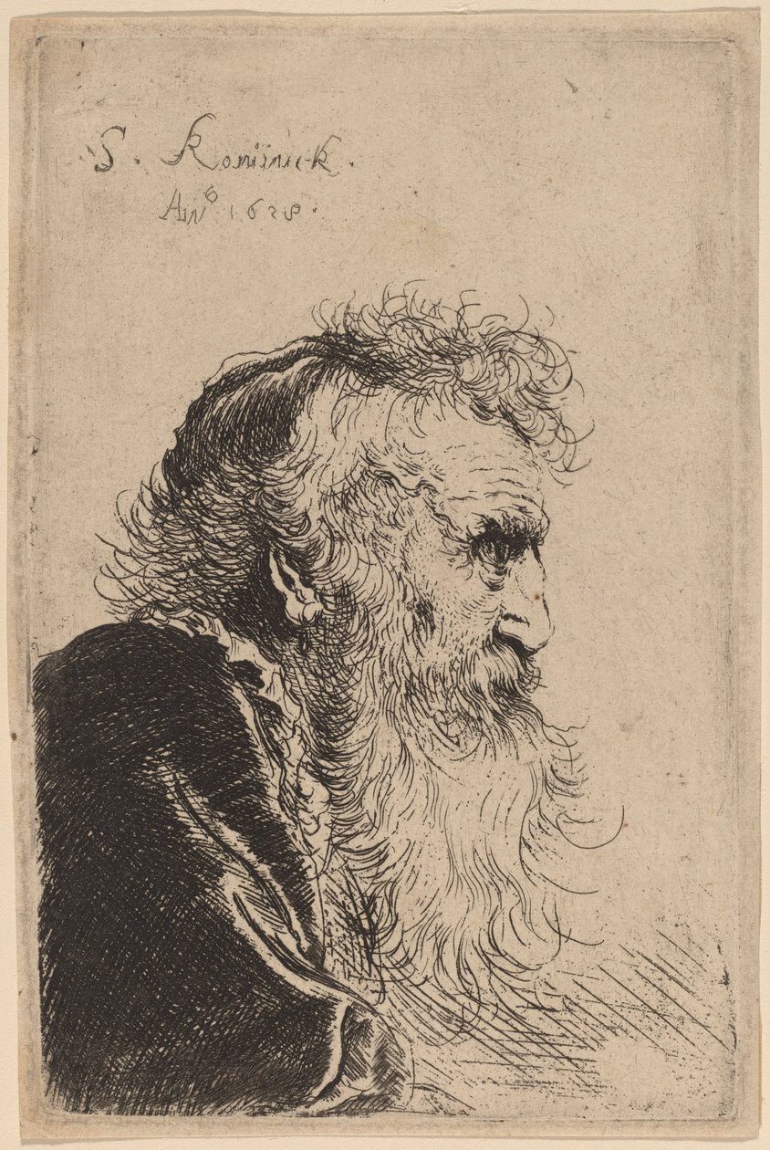 Bust of an Old Man in Profile, Facing Right by Salomon Koninck