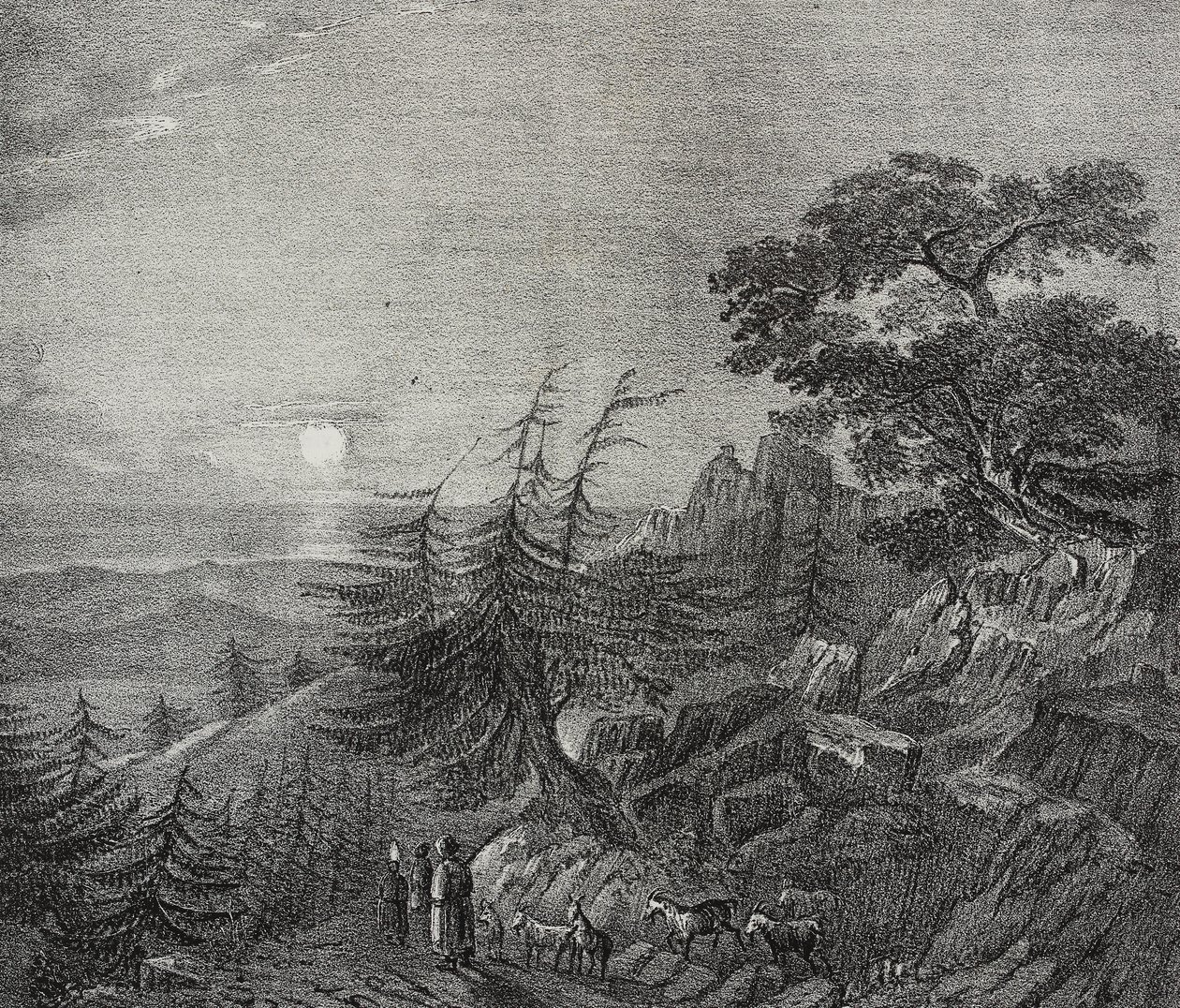 Landscape of Cedars forest on Mount Lebanon, near Beirut, Lebanon, lithograph by Salvatore Puglia from Poliorama Pittoresco, n 11, October 22 by Salvatore Puglia