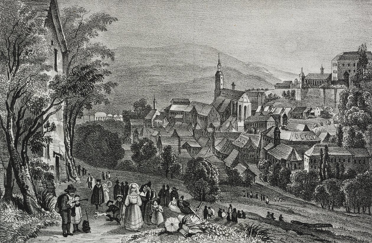 View of Baden, Switzerland (lithograph by Salvatore Puglia from Poliorama Pittoresco, n 29, February 26) by Salvatore Puglia