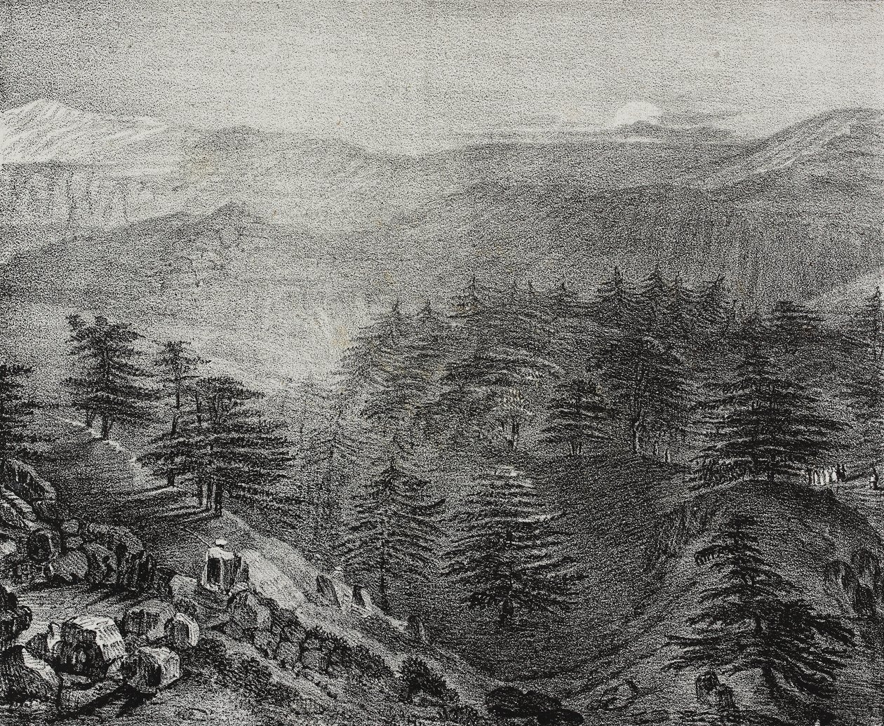 View of Mount Lebanon with its famous cedars, Lebanon by Salvatore Puglia