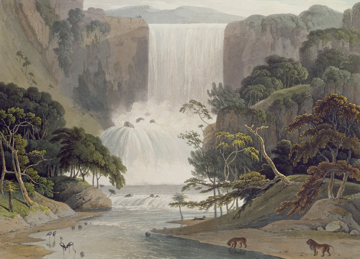 Cascade on Sneuwberg (plate 25 from 