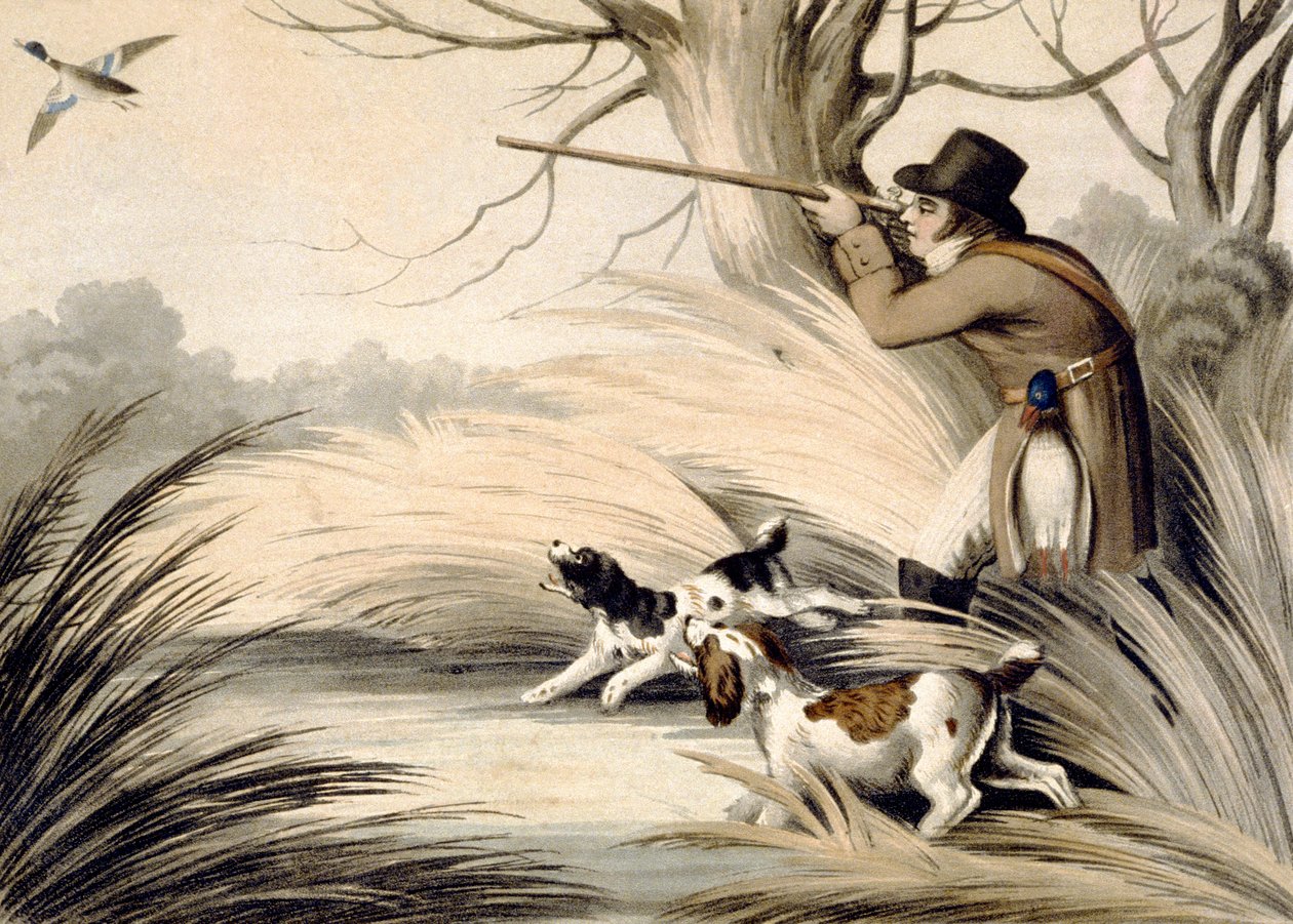 Shooting Duck, engraved by H. Merke by Samuel (after) Howitt