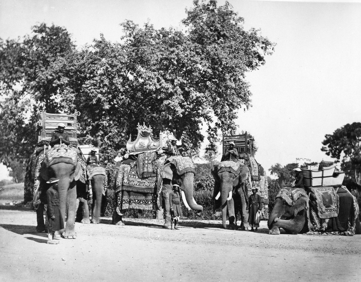 A Group of H E The Viceroy