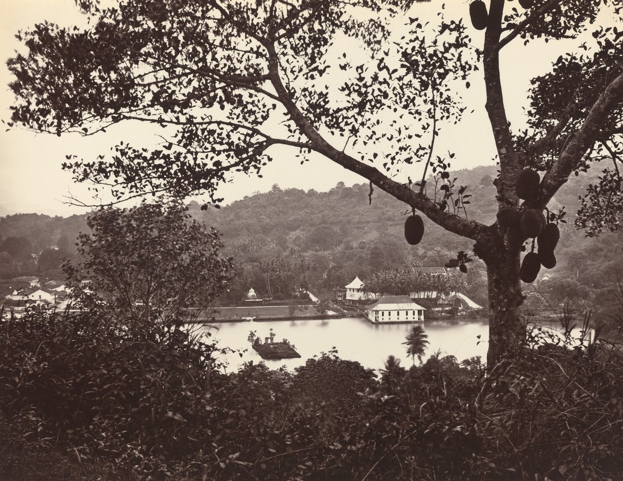 A Peep from Upper Lake Road Showing Temple and Island with Park - Fruit Tree in Foreground by Samuel Bourne