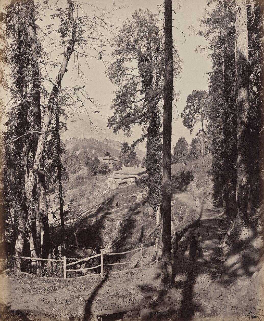 Murree. A Hill Station in the Himalayas, View Through the Forest by Samuel Bourne
