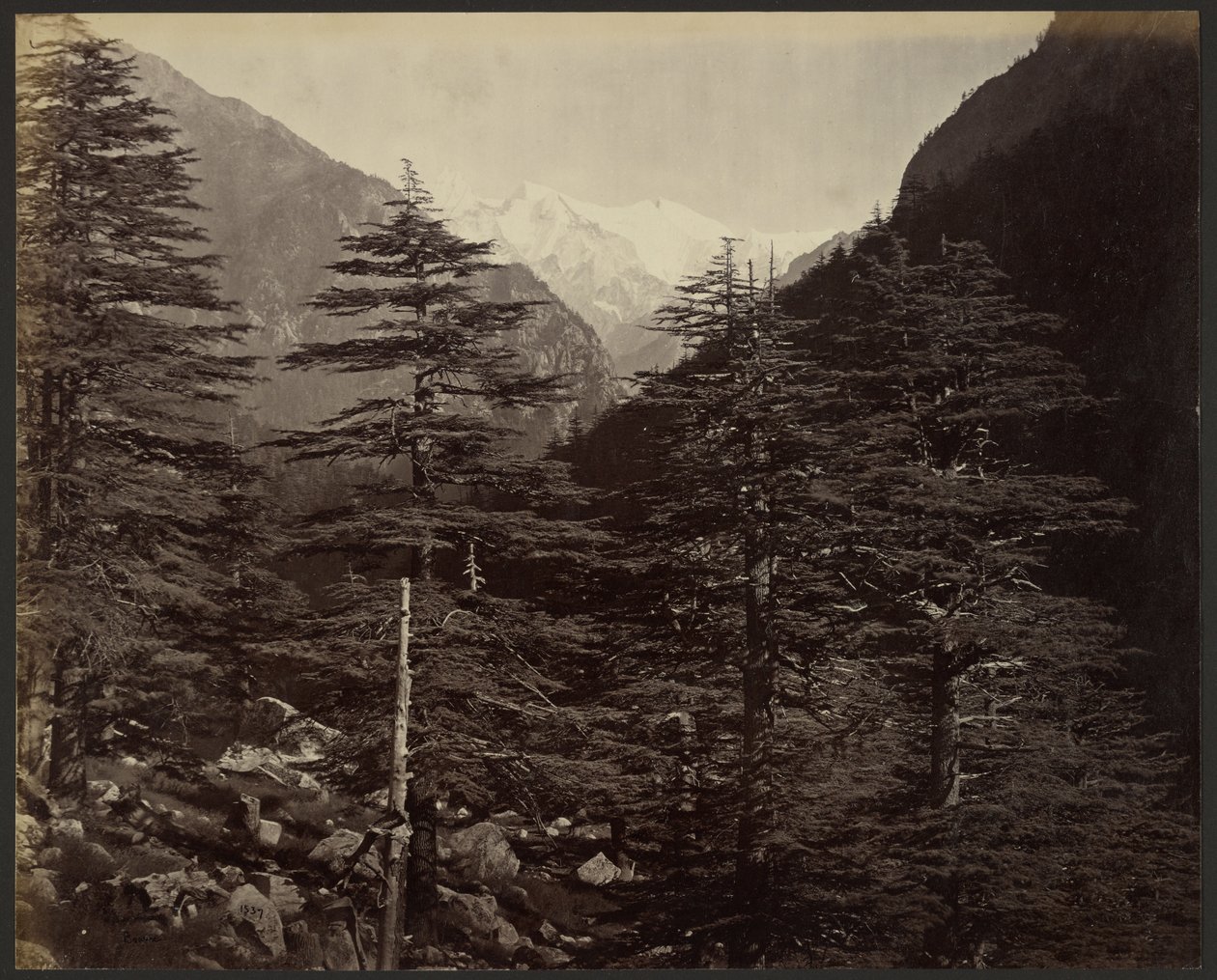 Snowy Peaks near Gangotri, from Bhairamghati by Samuel Bourne