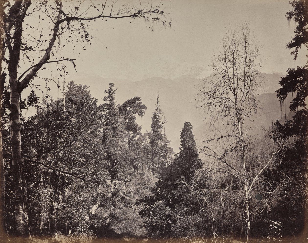 The Upper Himalayas. View of the Mountain of Bunderpoonch with the Jumnootri Peak, 20,458 above the Level of the Sea by Samuel Bourne