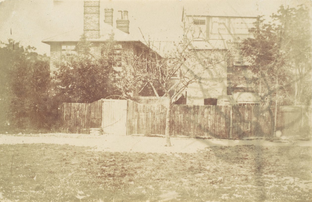 Tree in Yard by Samuel Buckle