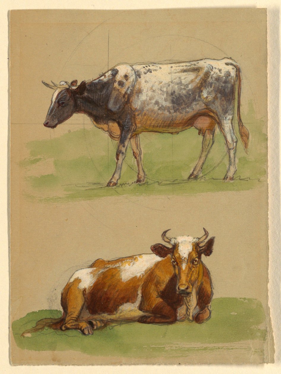 Cattle, a Cow Walking and a Cow Crouching by Samuel Colman