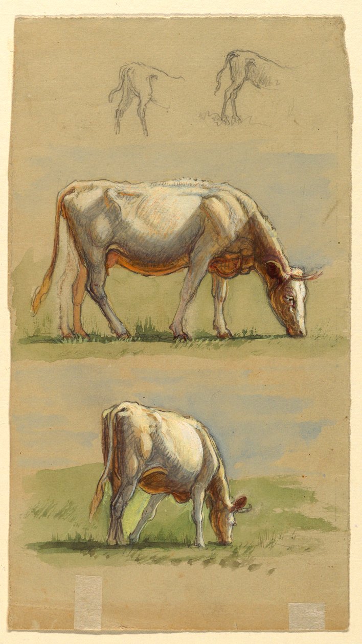 Drawing, Cattle, Two Grazing Cows and the Backs of Calves, 1875–80 by Samuel Colman