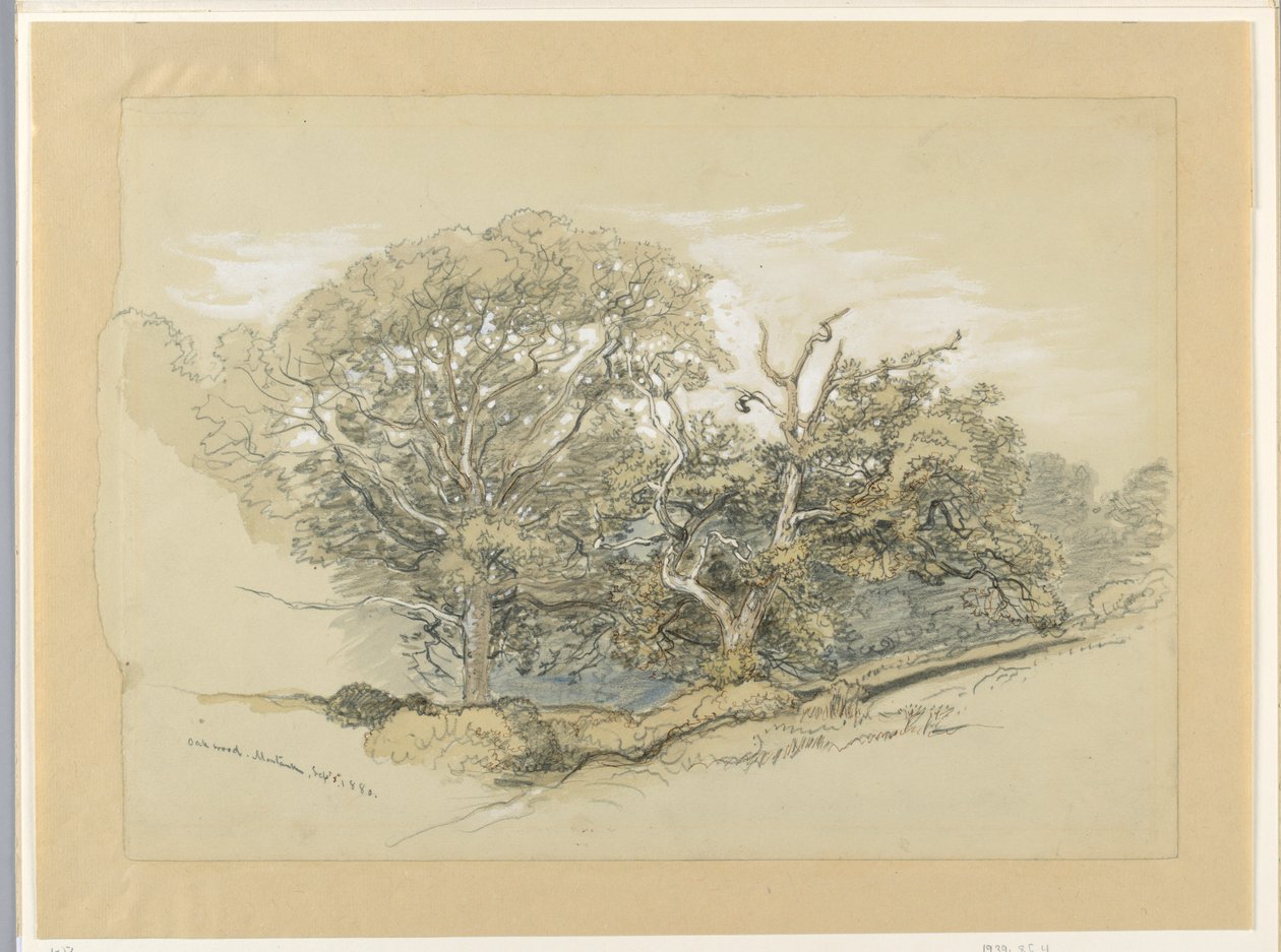 Oak Wood, Montauk, New York, September 8, 1880 by Samuel Colman