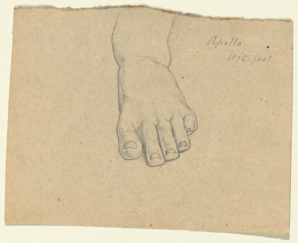Study for The Judgment of Jupiter (detail) by Samuel Finley Breese Morse