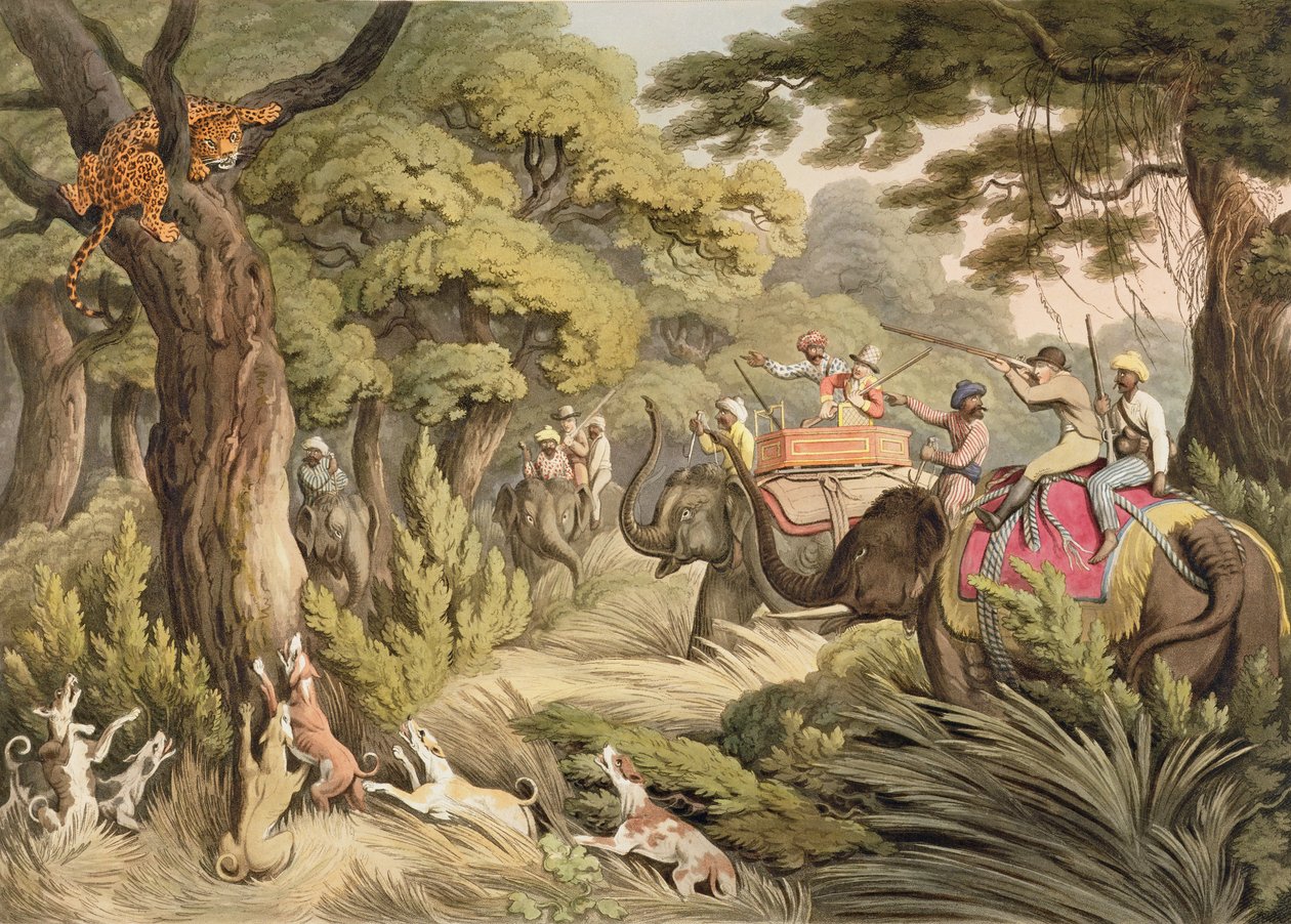 Shooting A Leopard, from Oriental Field Sports, pub. by Edward Orme by Samuel Howett