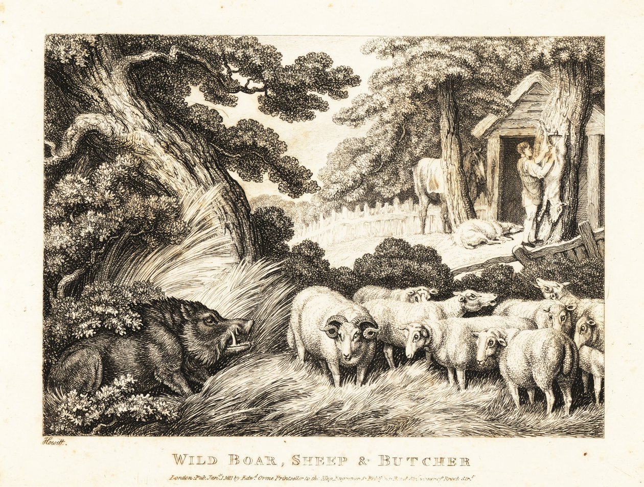 A flock of sheep wait for slaughter by a butcher by Samuel Howitt