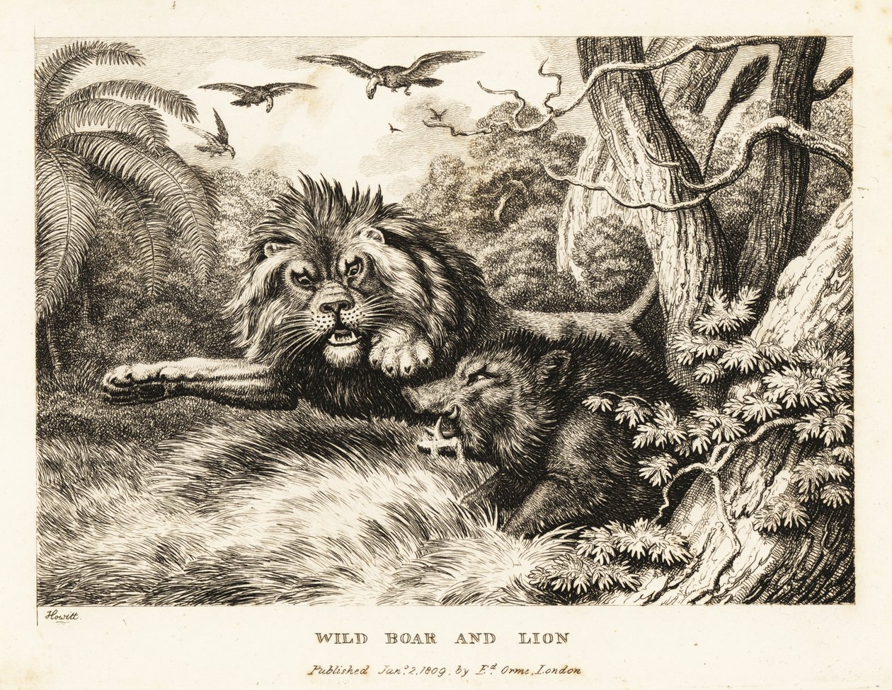 A lion and wild boar fight while vultures circle above by Samuel Howitt