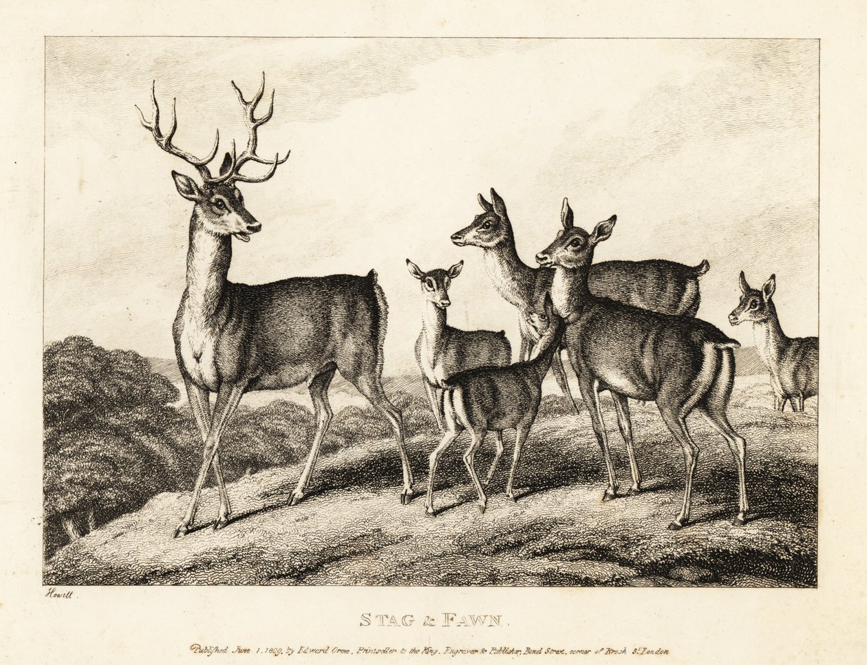 A stag with does and fawns by Samuel Howitt