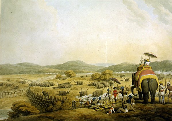 Driving Elephants into a Keddah by Samuel Howitt