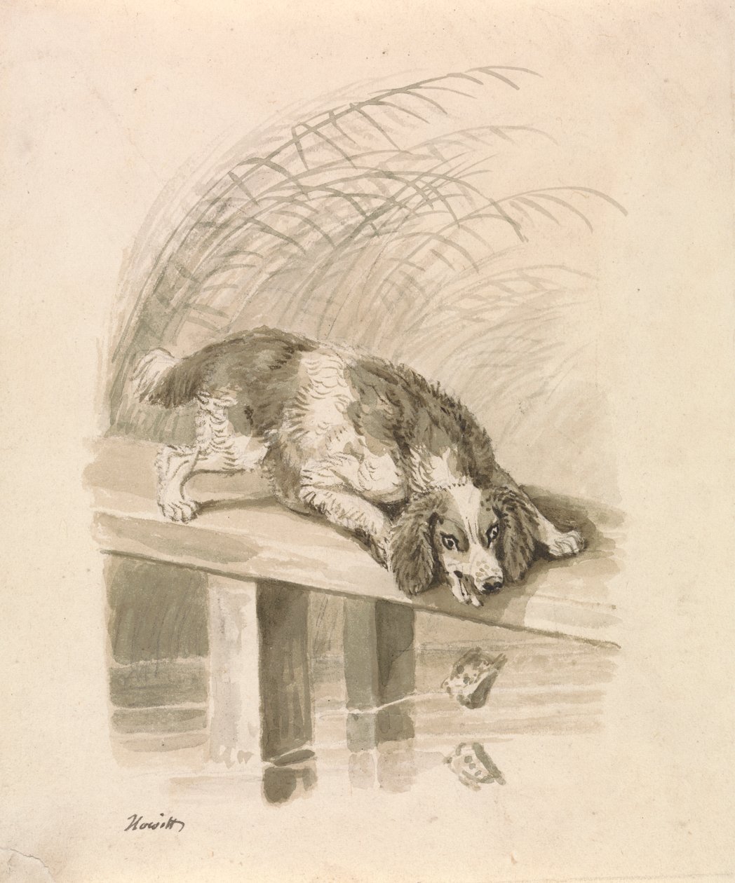 The Dog and The Shadow by Samuel Howitt