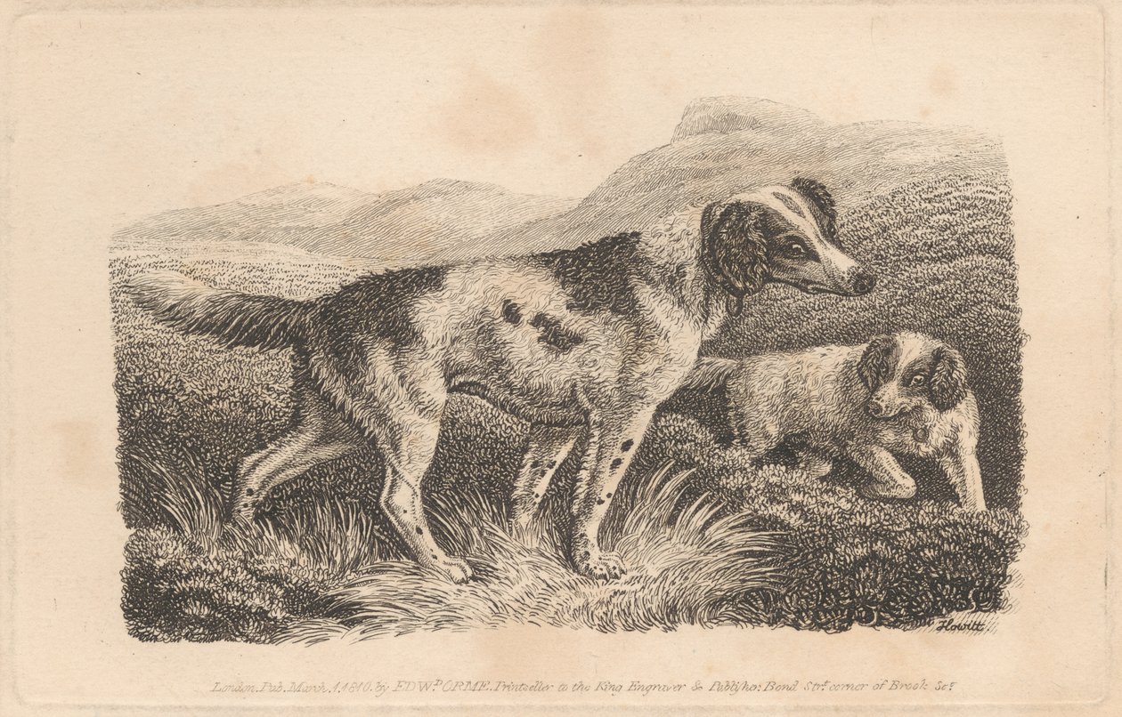 Two Dogs by Samuel Howitt