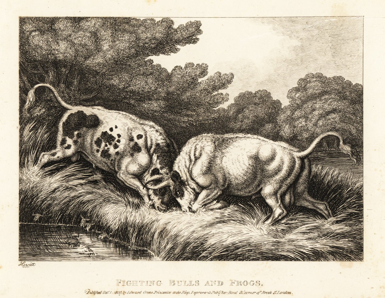 Two Bulls Locking Horns Near a Pond Full of Frogs by Samuel Howitt