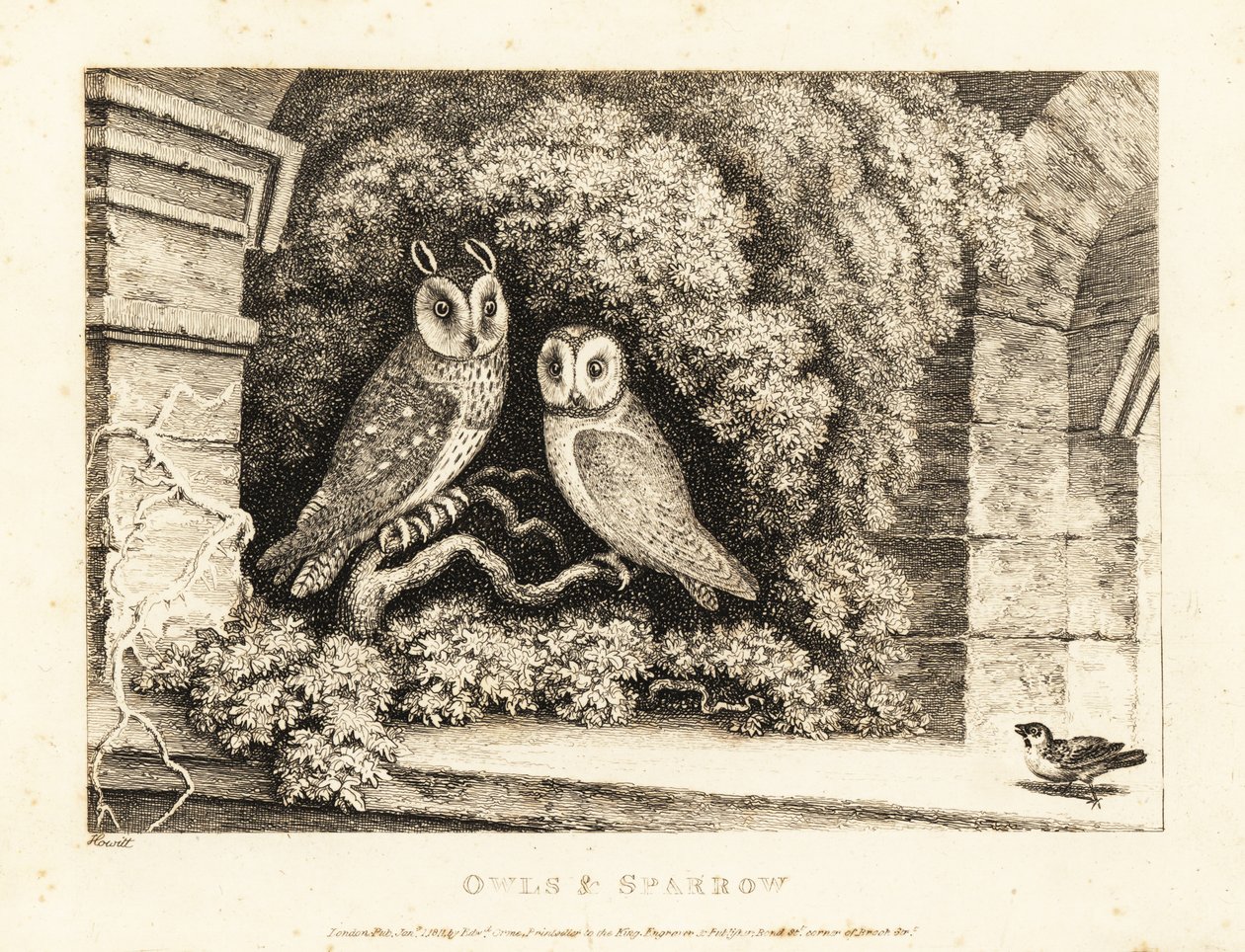 Two Owls and a Sparrow by Samuel Howitt