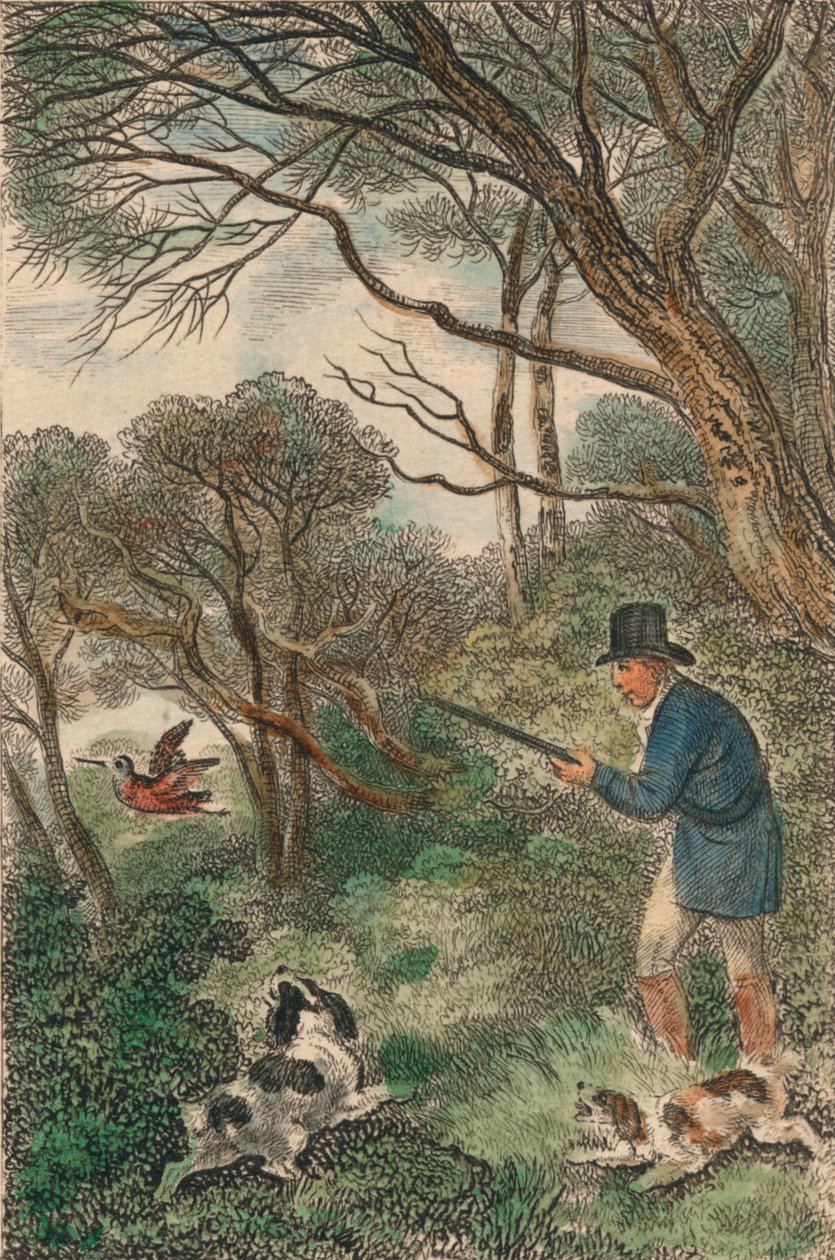 Woodcock Shooting by Samuel Howitt