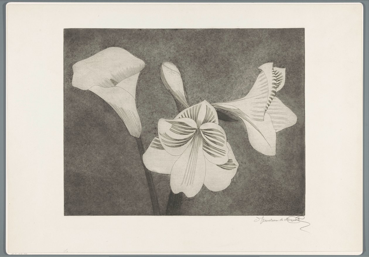 Amaryllis and Calla Lily by Samuel Jessurun de Mesquita (signed by artist)
