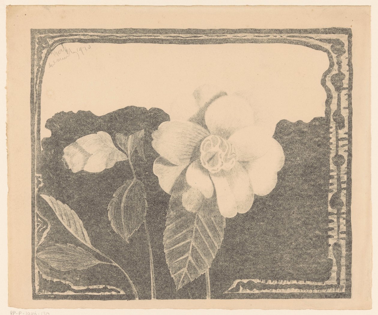 Camelia, Flower Bud on the Left by Samuel Jessurun de Mesquita