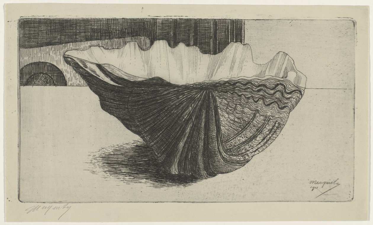 A Shell, Lying on Its Curve by Samuel Jessurun de Mesquita